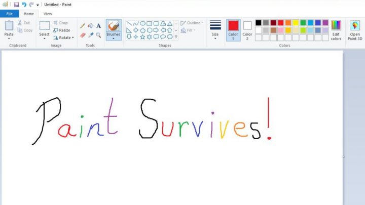 Paint