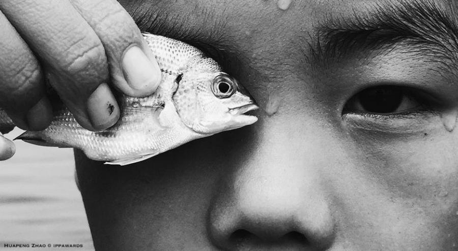 Apple revela os vencedores do seu concurso de fotografia de 2019 Apple revela os vencedores do seu concurso de fotografia de 2019
