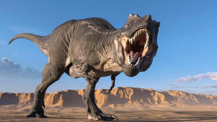 dinossauros