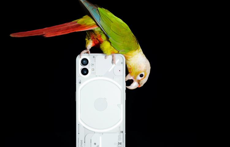 Phone