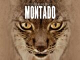 Montado