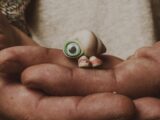 Marcel The Shell With Shoes On .