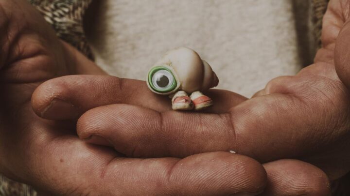 Marcel The Shell With Shoes On .