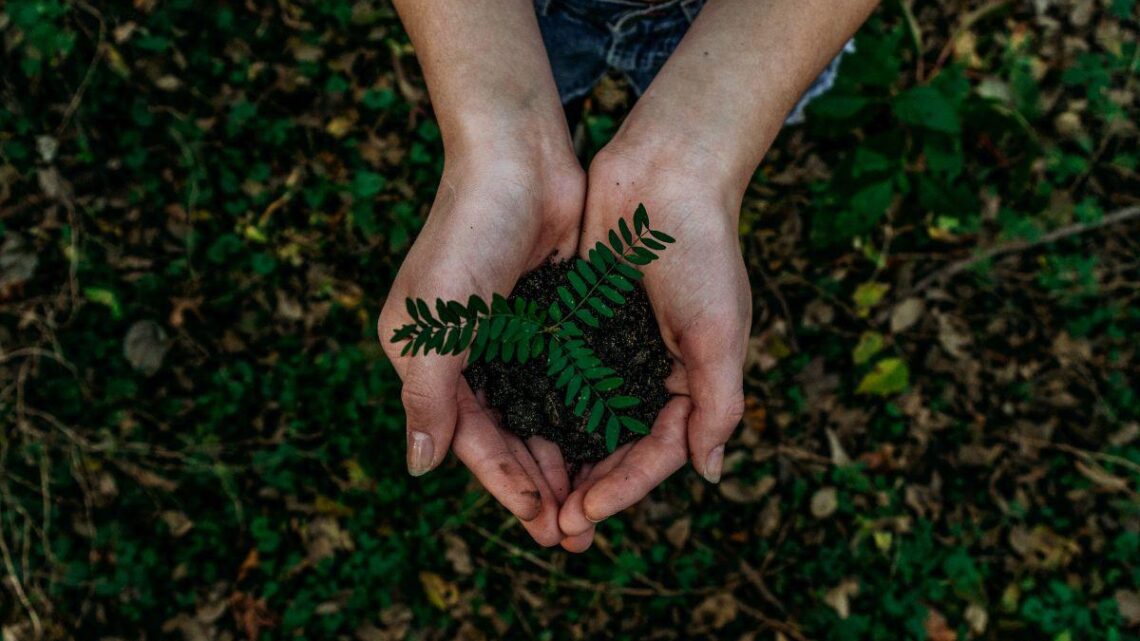 sustentabilidade e inovação ecológica